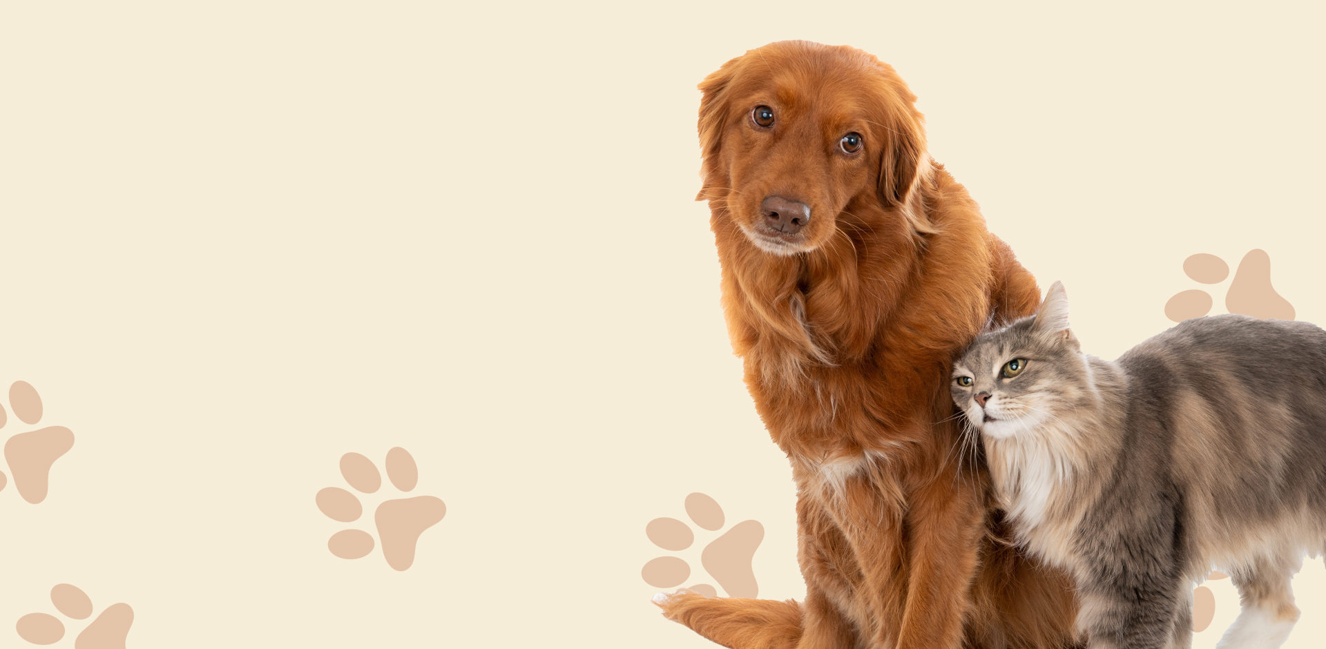 <span>Spay/Neutering</span>  Services